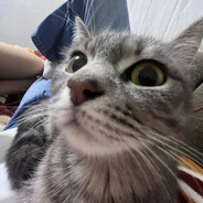 не троллим?