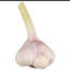 knoblauch