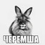 ЧЕРЕМША