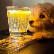 去码头抢点薯条🍟