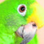 2702