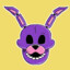 Purple Bunny