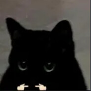 robiszeu - steam id 76561198950614024