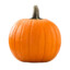 pumpkin(‘◉⌓◉)