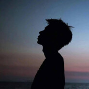 可惜世间遗憾常驻