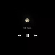 丶听枫最后一句