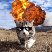 QuadCat - steam id 76561197970957678