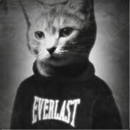 SEKTÖRE HOŞGELDİN