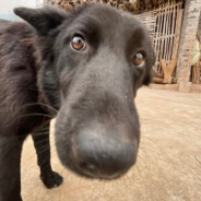 理塘第一突破手