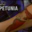 Petunia