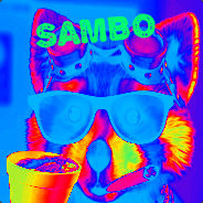 Sambo Boppensteebe