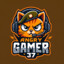 AngryGamer37