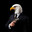 EAGLE EYE