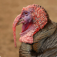 MyPencilBig - steam id 76561198360878335