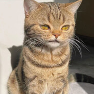 牛爷爷的花裤衩