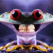 David Jann - steam id 76561197970992814