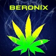 Beronix