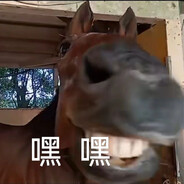 路泽