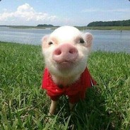 今天你提臀了吗