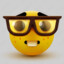 the nerd emoji