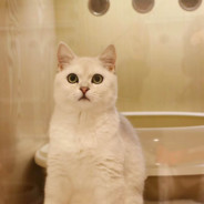 多次拒绝刘浩存