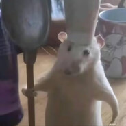 我妈说我长的像迪奥