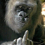 MARTINE ROSE - steam id 76561199888290648