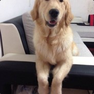 0531-无知旳青春