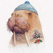 Walrus