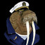 MoistWalrus