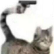 catwitagun