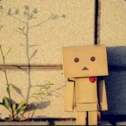 就爱吃鱼你管我