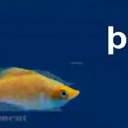tropcalfisb