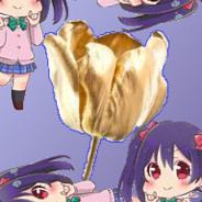 Golden-Tulip