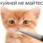 ˙·٠•●๑۩ПсИх۩๑