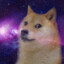 UniverDoge