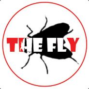 [ITASF]TheFly