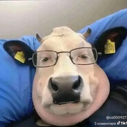 Ronnm