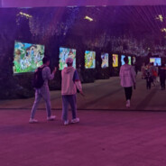 250少校你在画地为牢啊