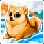 Some Doge