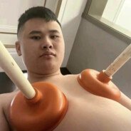 翻斗花园马保国