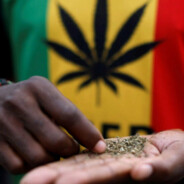 DR WEED