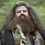 Rubeus Hagrid