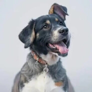 心悦唱给影子听