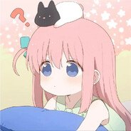 坚定的小熊猫