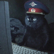 КотУпалНамоченный