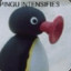 Sir. Pingu