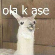 VICUÑA GAMER giordota.com