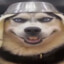 M A A V