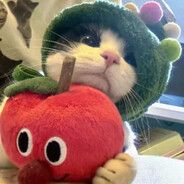 宇宙超级无敌大帅哥